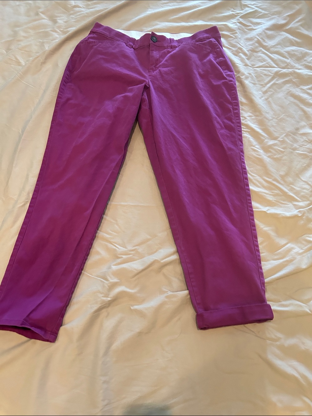 Lane Bryant Cropped Chino Pants in Bright Purple size 14